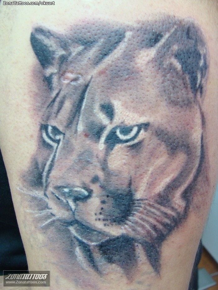 Foto de tatuaje Pumas, Cover Up, Animales