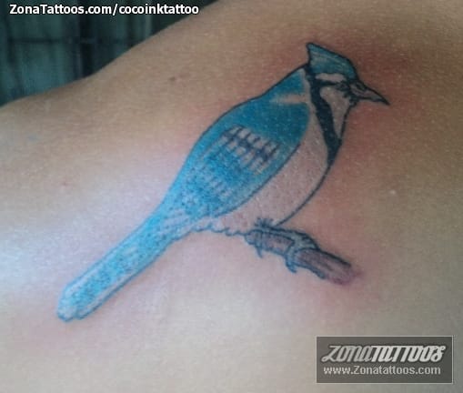 Tattoo photo Birds, Animals