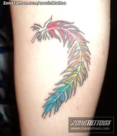 Tattoo photo Feathers