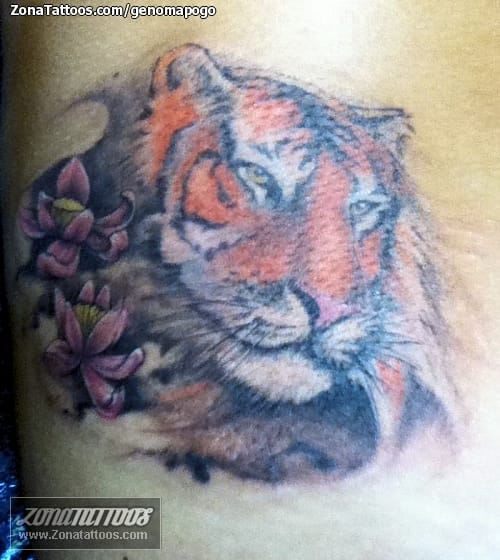 Foto de tatuaje Tigres, Animales