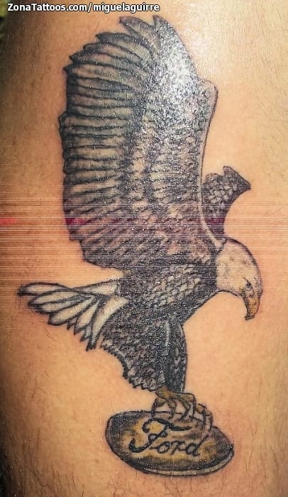 Foto de tatuaje Aves, Águilas, Animales