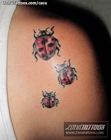 Foto de tatuaje Insectos, Mariquitas