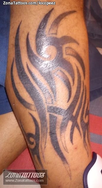 Tattoo photo Tribal