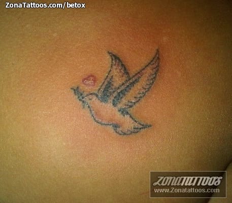 Foto de tatuaje Palomas, Aves, Animales