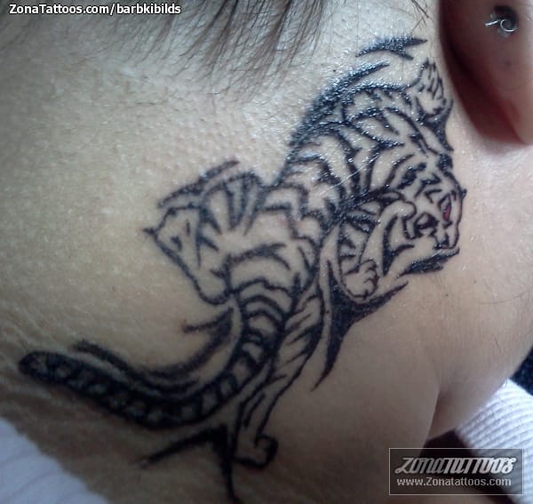 Foto de tatuaje Animales, Tigres