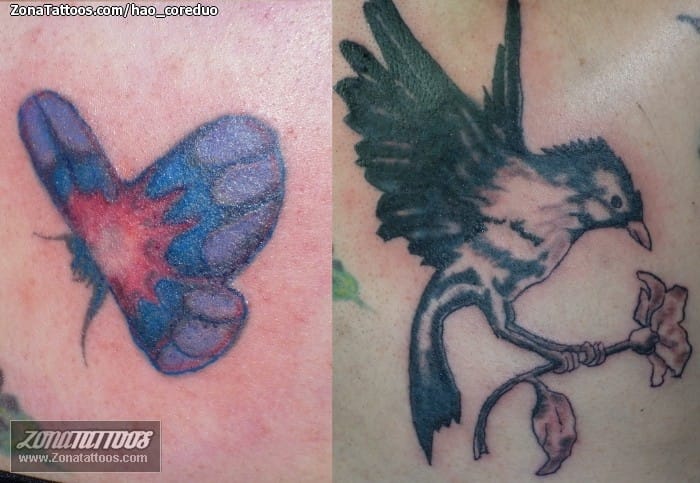 Tattoo photo Birds, Animals