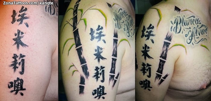 Foto de tatuaje Bambú, Kanjis, Orientales
