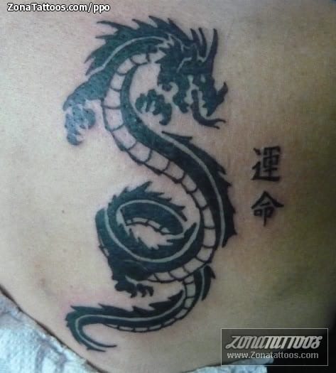 Tattoo photo Asian, Dragons