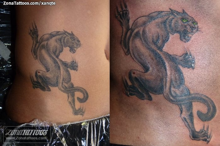 Tattoo photo Animals, Panthers