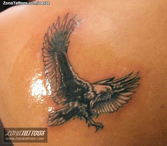 Tattoo photo Birds, Animals, Eagles