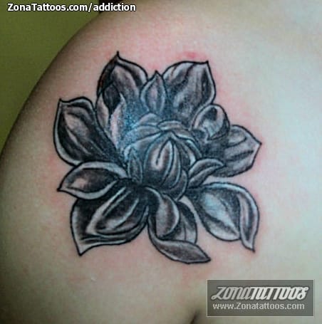 Foto de tatuaje Lotos, Flores