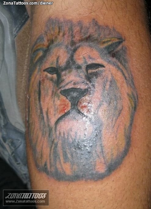 Foto de tatuaje Leones, Animales