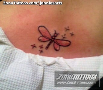 Tattoo photo Dragonflies, Insects