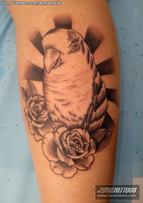 Tattoo photo Birds, Parakeets, Animals