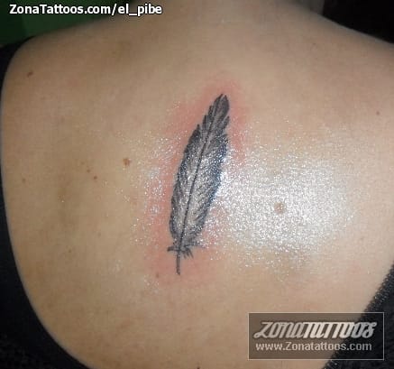 Tattoo photo Feathers
