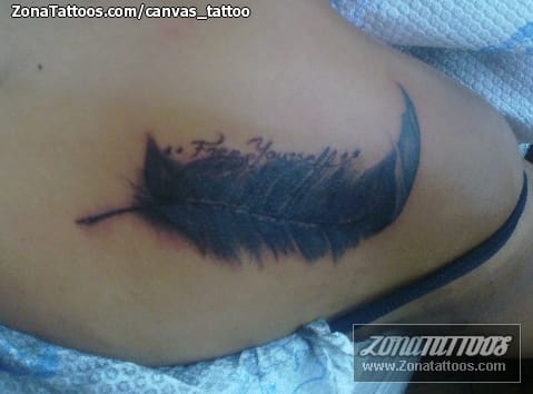 Foto de tatuaje Plumas