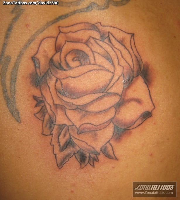 Foto de tatuaje Rosas, Flores