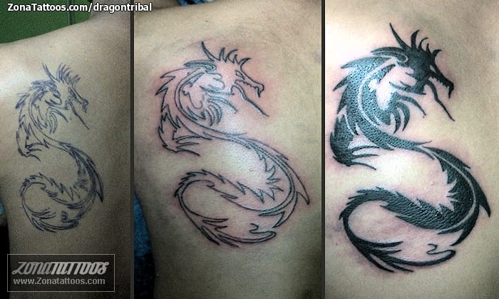 Foto de tatuaje Dragones, Tribales, Fantasía