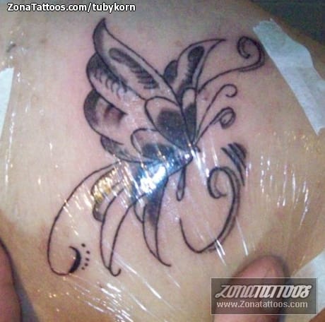 Tattoo photo Insects, Butterflies