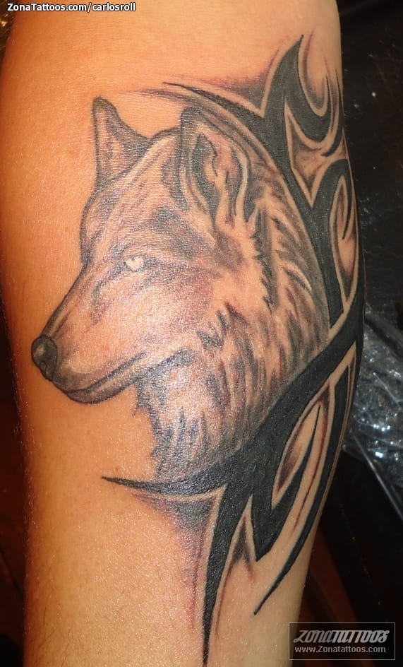 Tatuaje de Lobos, Tribales, Animales