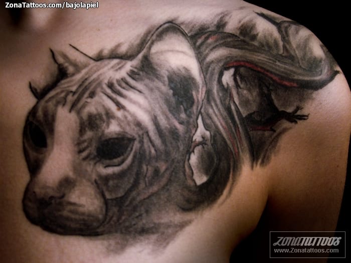 Tattoo photo Cats, Animals, Sphynx