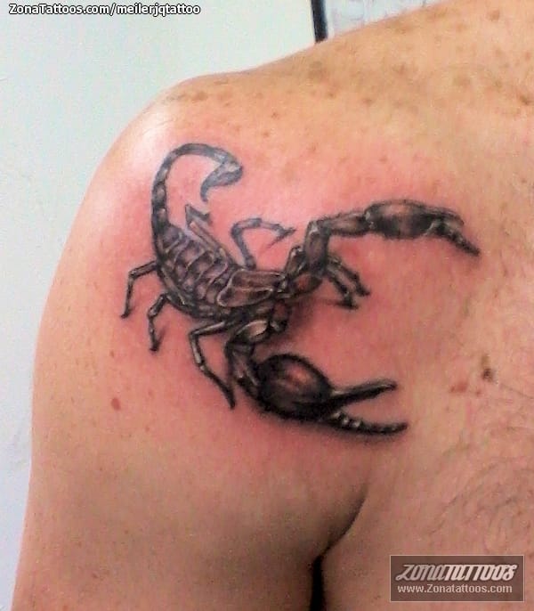 Tattoo photo Scorpions, Insects, Shoulder