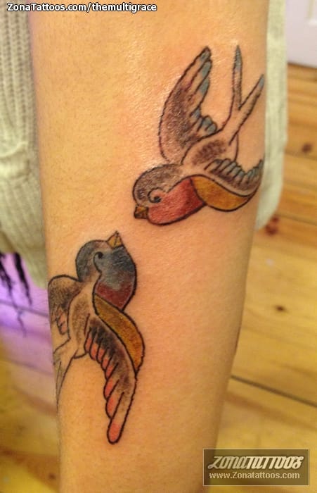 Foto de tatuaje Golondrinas, Aves, Animales