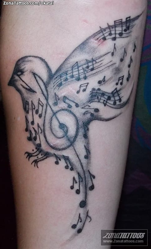 Foto de tatuaje Aves, Notas Musicales, Animales