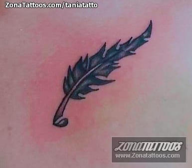 Tattoo photo Feathers