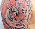 Tatuaje de FidoTattoo