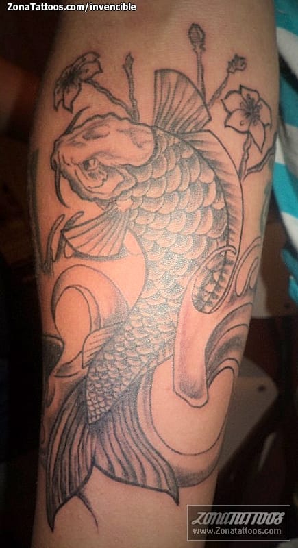 Tattoo photo Animals, Fish, Koi