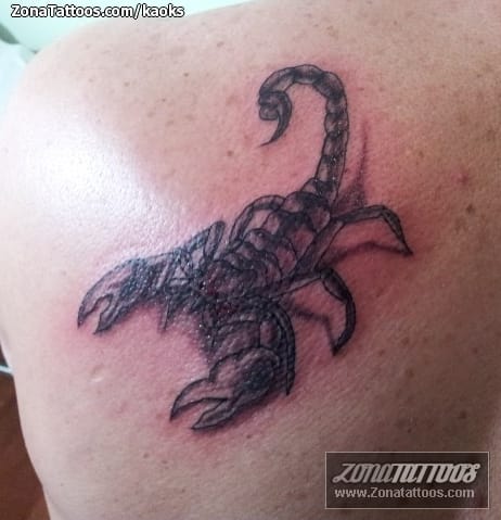 Foto de tatuaje Escorpiones, Insectos, Omóplato