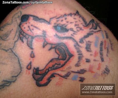 Tattoo photo Wolfs, Animals