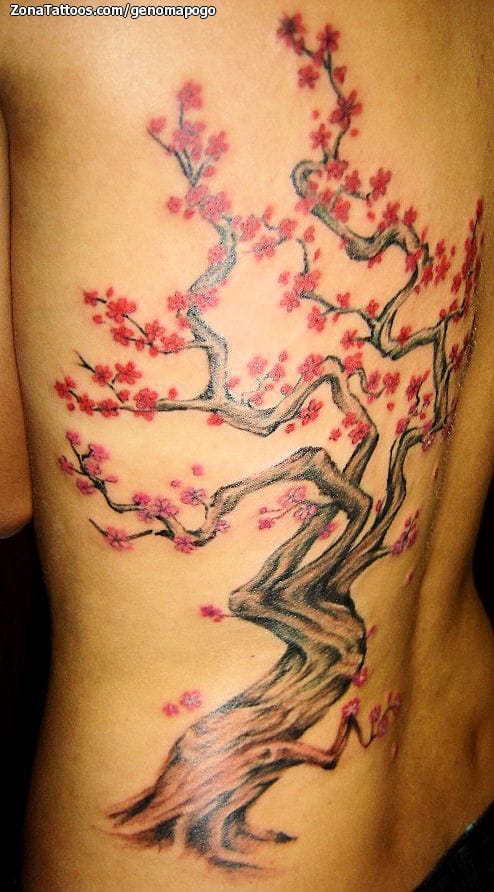 Foto de tatuaje Cerezos, Árboles, Espalda