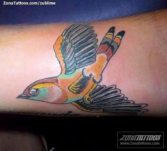 Tattoo photo Birds, Sparrows, Animals