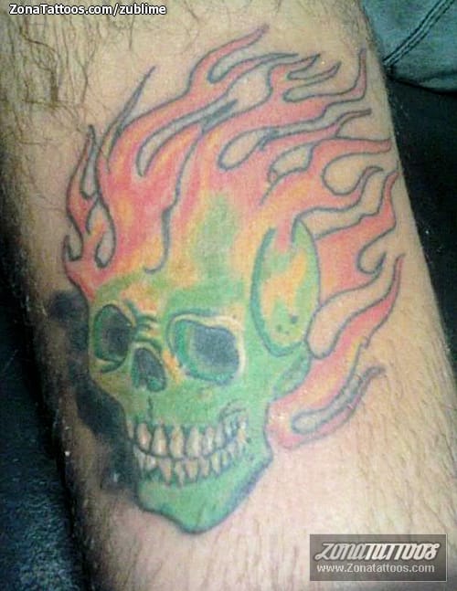 Tattoo photo New School, Skulls, Llamas