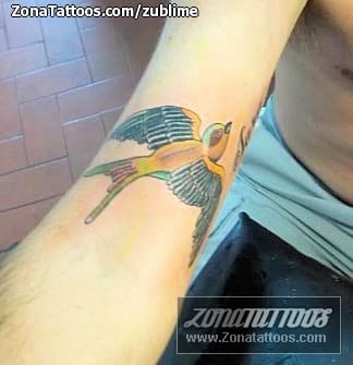 Foto de tatuaje Aves, Animales