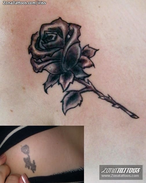 Foto de tatuaje Cover Up, Flores, Rosas