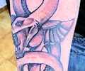 Tatuaje de palmero24