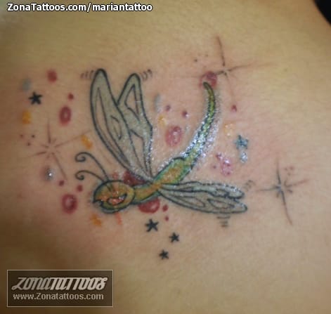 Tattoo photo Dragonflies, Insects