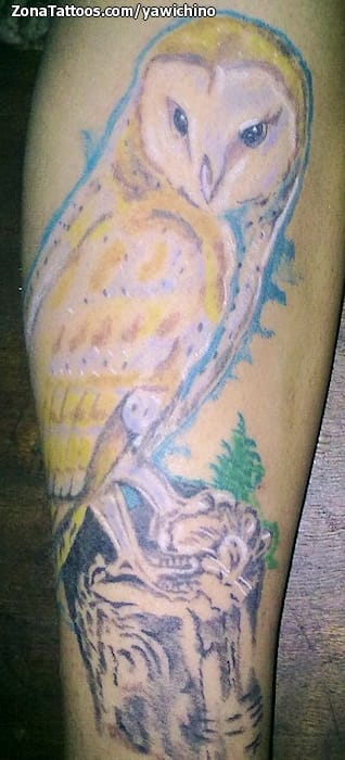 Foto de tatuaje Animales, Lechuzas, Aves