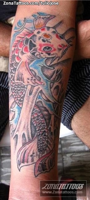 Foto de tatuaje Koi, Peces, Animales