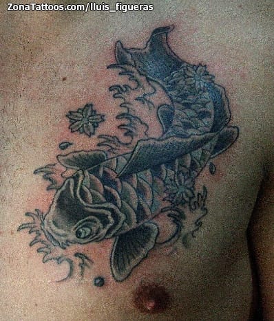 Tattoo photo Koi, Fish, Animals