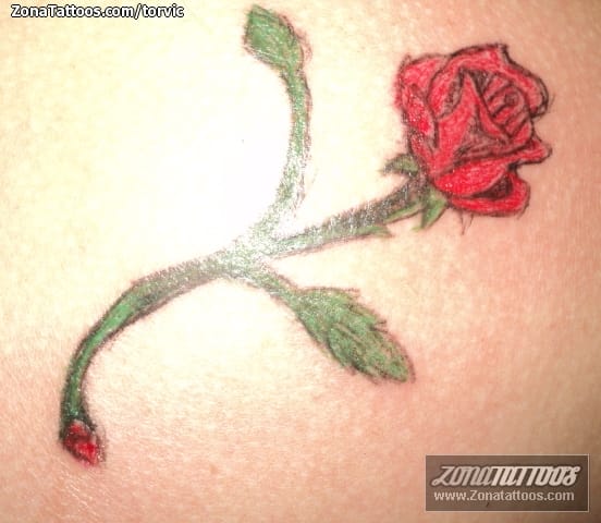 Tattoo photo Roses, Flowers