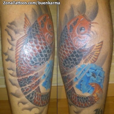 Foto de tatuaje Koi, Peces, Animales