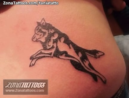 Tattoo photo Wolfs, Animals