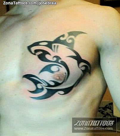 Tattoo photo Tribal, Animals, Sharks