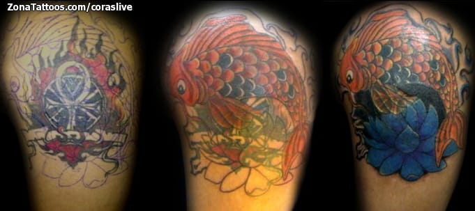 Foto de tatuaje Cover Up, Koi, Peces