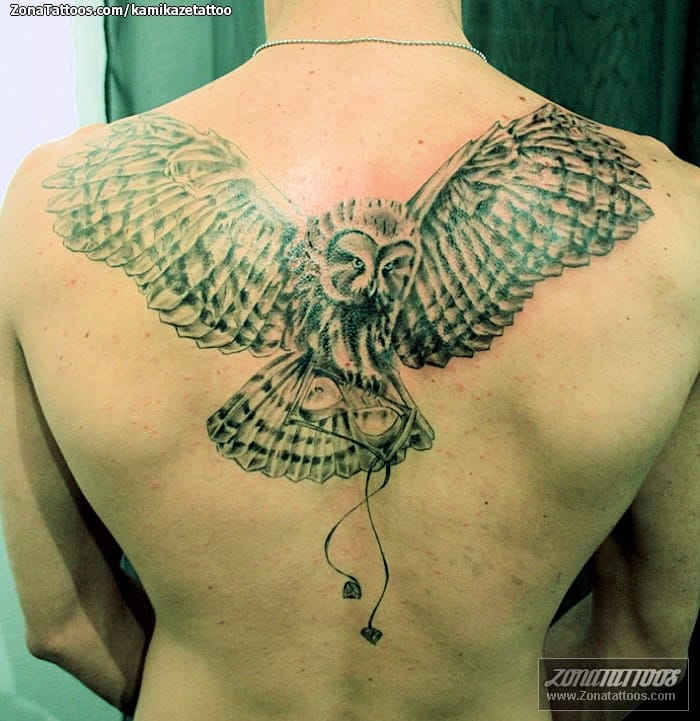 Foto de tatuaje Búhos, Aves, Animales