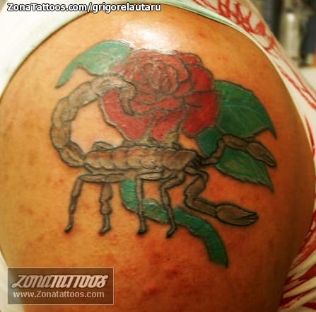 Tattoo photo Scorpions, Insects